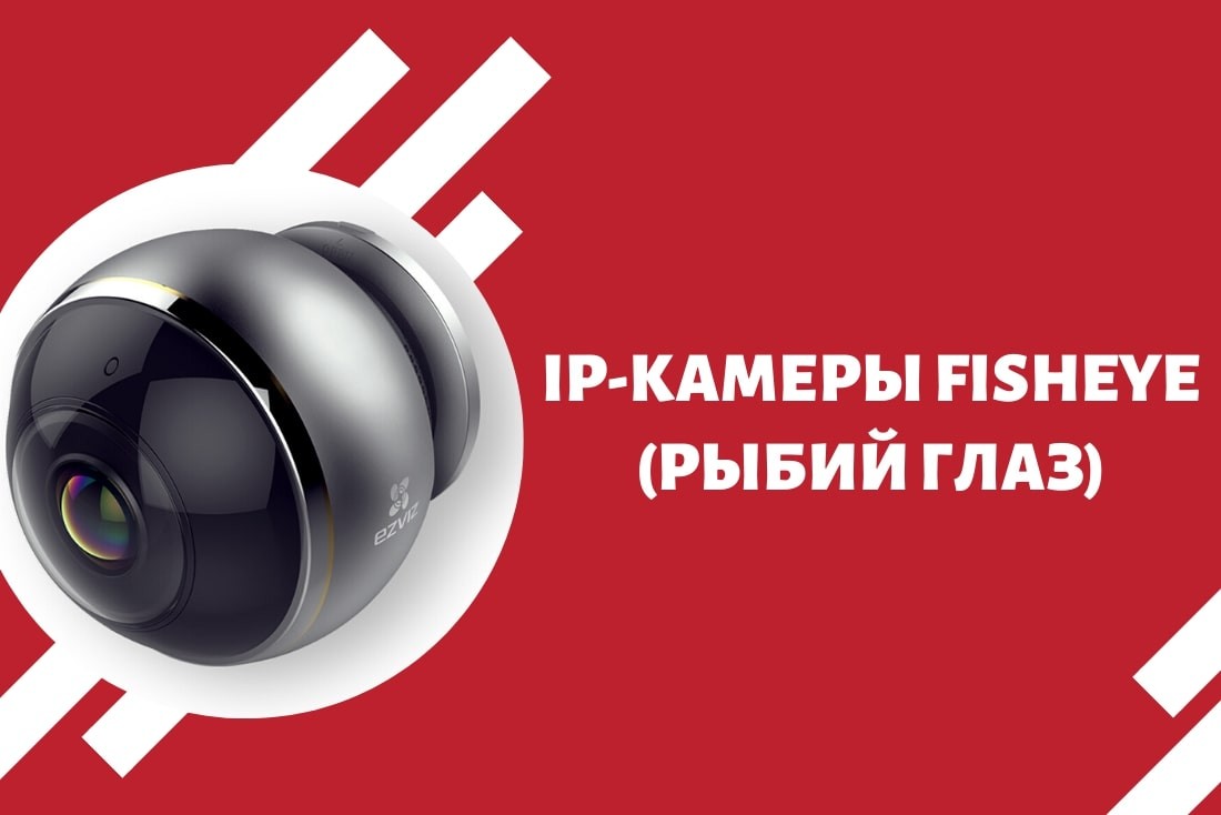 IP-камеры Fisheye (рыбий глаз)